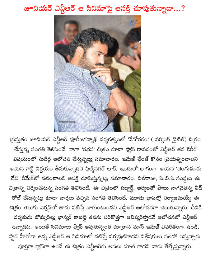 jr ntr,bangalore dates,remake,naga chaitanya,jr ntr intrest,young tiger ntr,rabhasa  jr ntr, bangalore dates, remake, naga chaitanya, jr ntr intrest, young tiger ntr, rabhasa